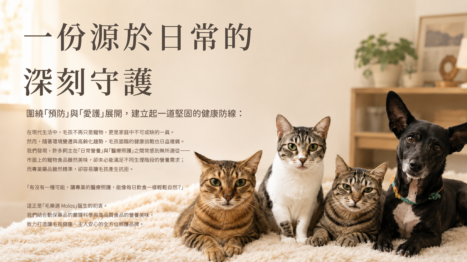 一份源於日常的深刻守護