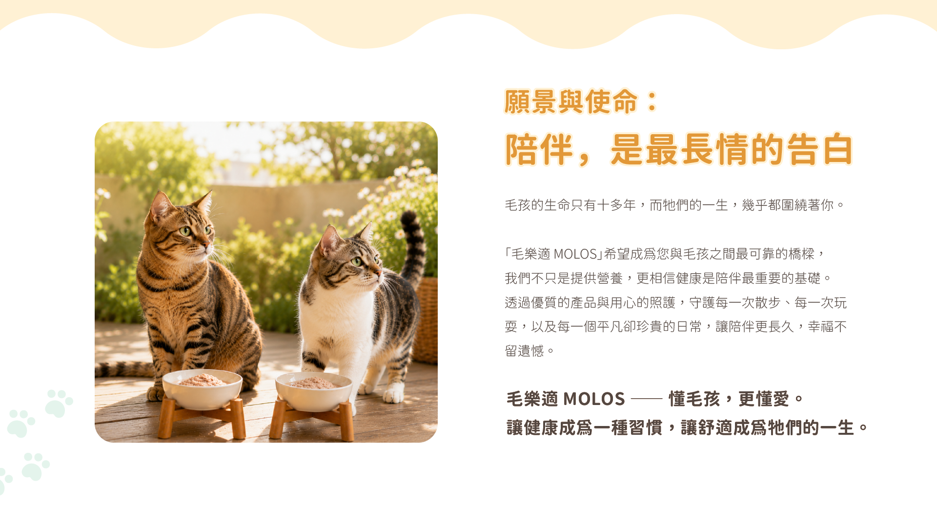 願景與使命：陪伴，是最長情的告白