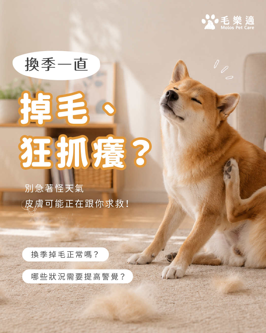 換季一直掉毛、狂抓癢？皮膚可能正在跟你求救！