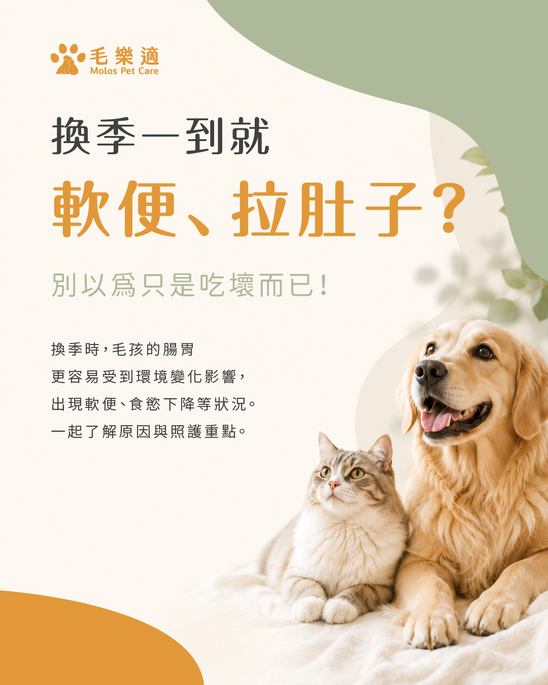 換季一到就軟便、拉肚子？別以為只是吃壞而已！