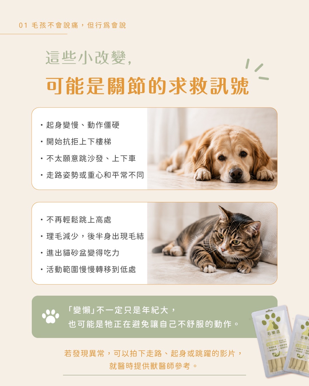 犬貓關節日常照護衛教圖卡 2