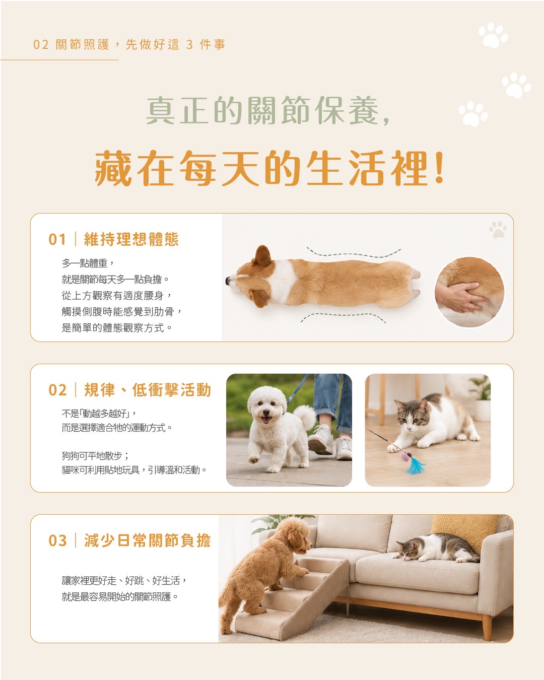 犬貓關節日常照護衛教圖卡 4