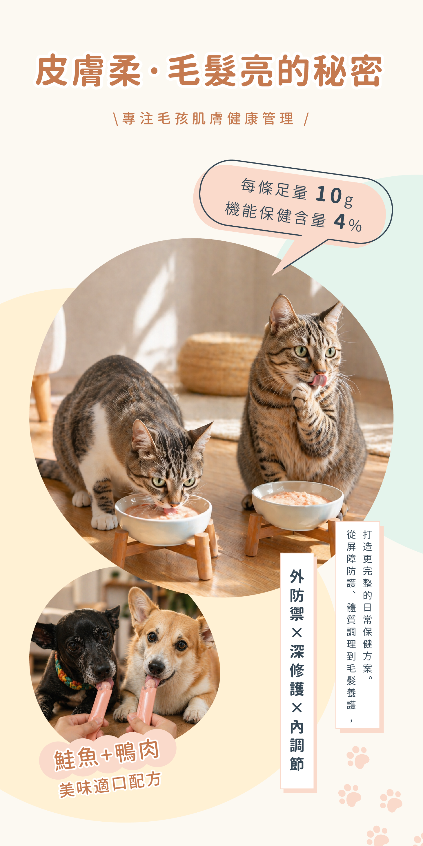 柔膚力產品介紹