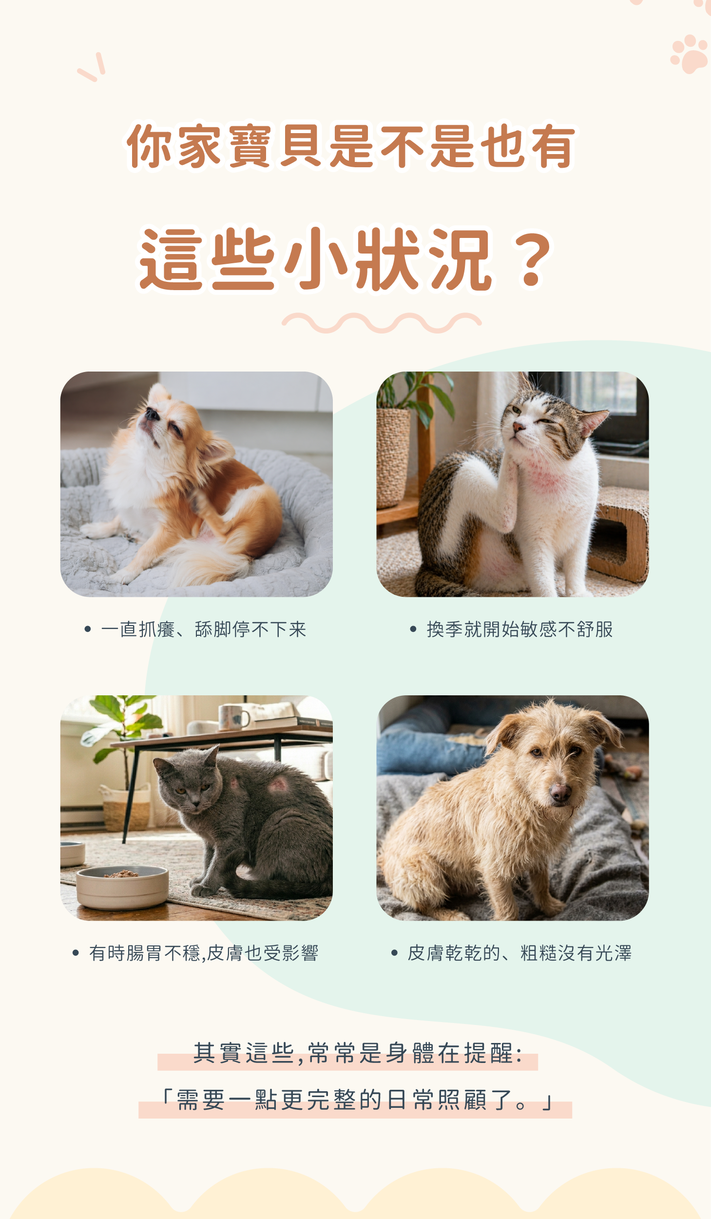 柔膚力關鍵營養