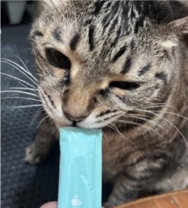 貓咪吃毛樂適肉泥