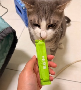 貓咪吃毛樂適肉泥