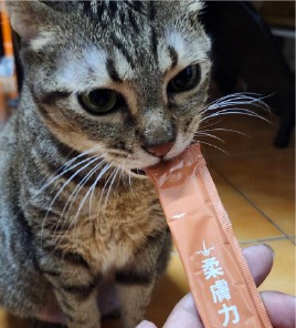 貓咪吃毛樂適肉泥