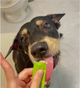 狗狗吃毛樂適肉泥