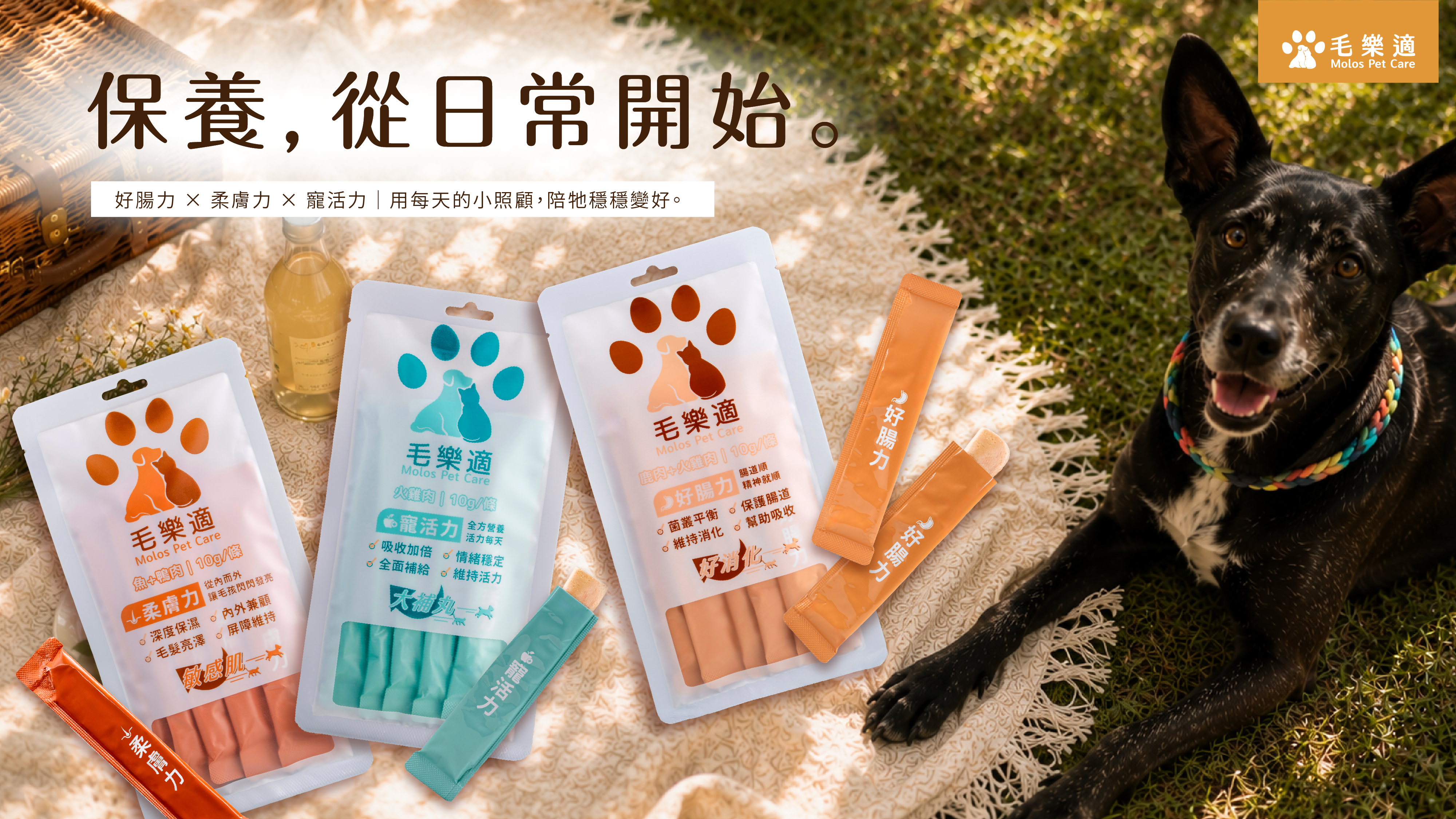 保養，從日常開始。好腸力 x 柔膚力 x 寵活力，用每天的小照顧，陪牠穩穩變好。